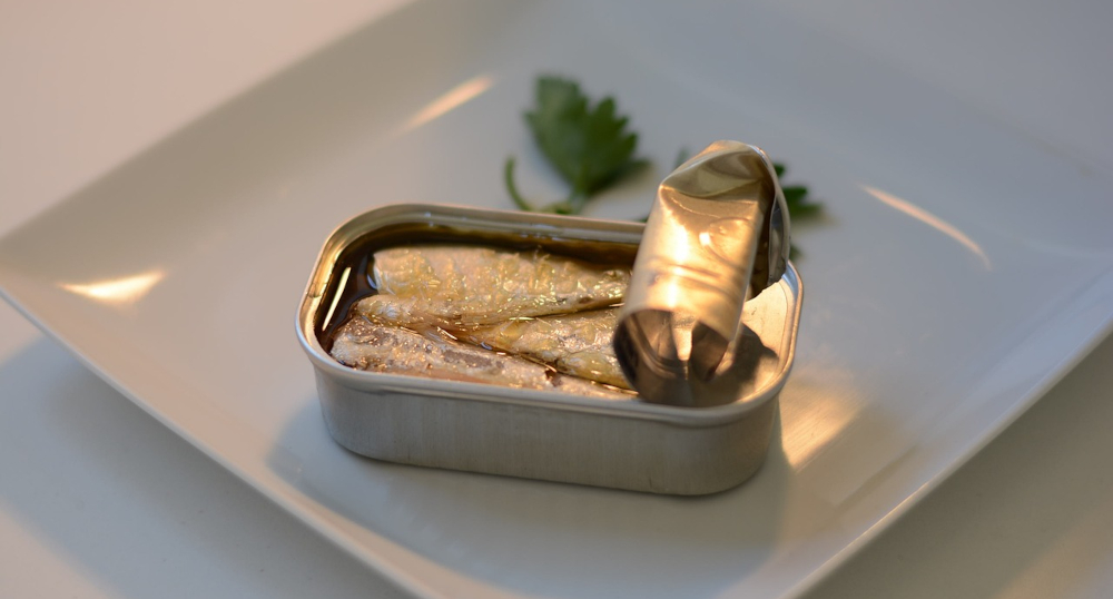 canned sardines